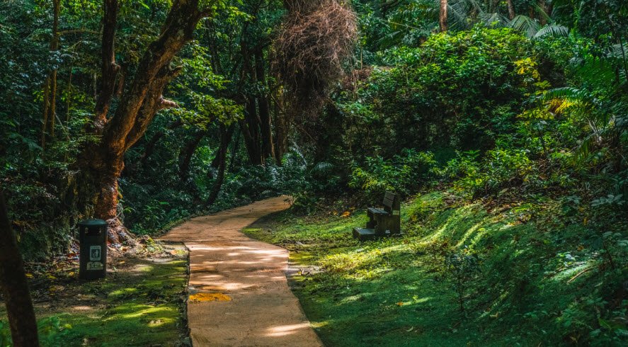 Welchman Hall Gully, Saint Thomas, Barbados